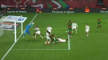 ضبط أجهزة الاستقبال.. القنوات المفتوحة الناقلة لمباراة الجزائر والكونغو في كأس أمم إفريقيا